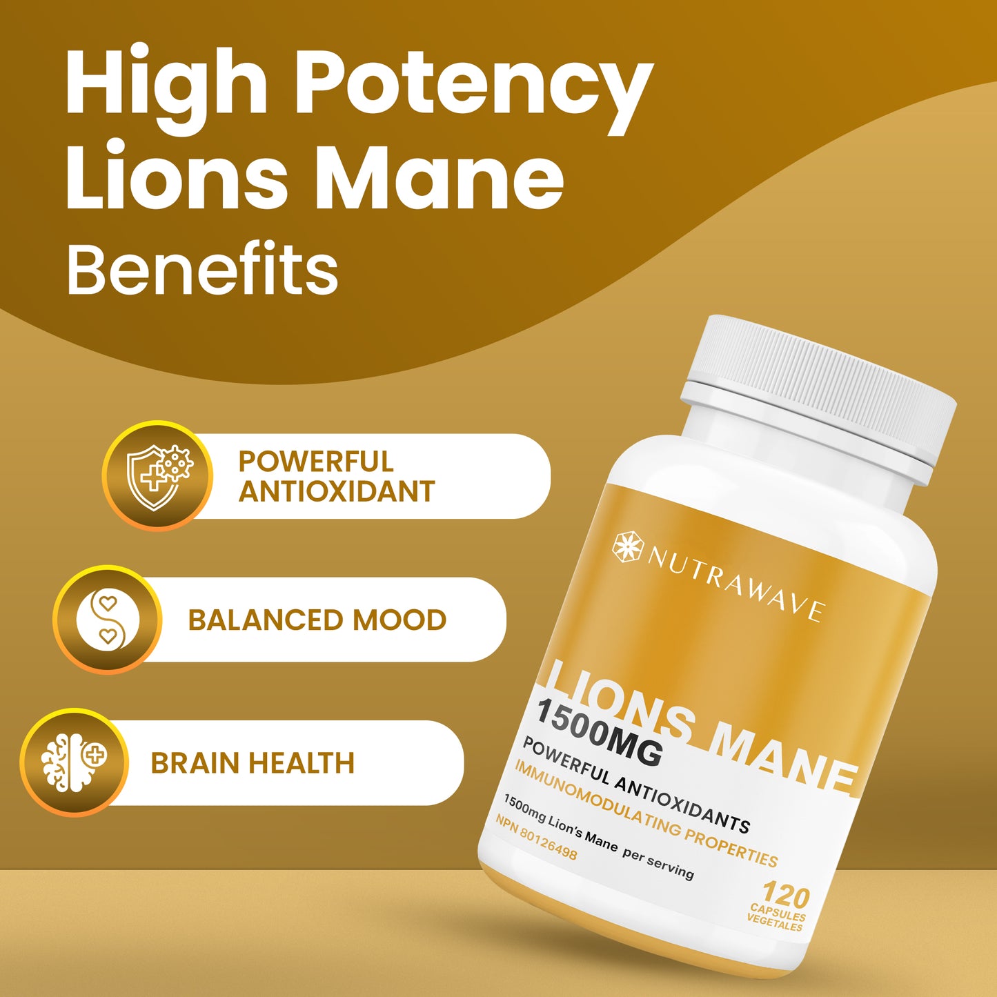 
                  
                    Lions Mane Extract Capsules – 1500mg
                  
                