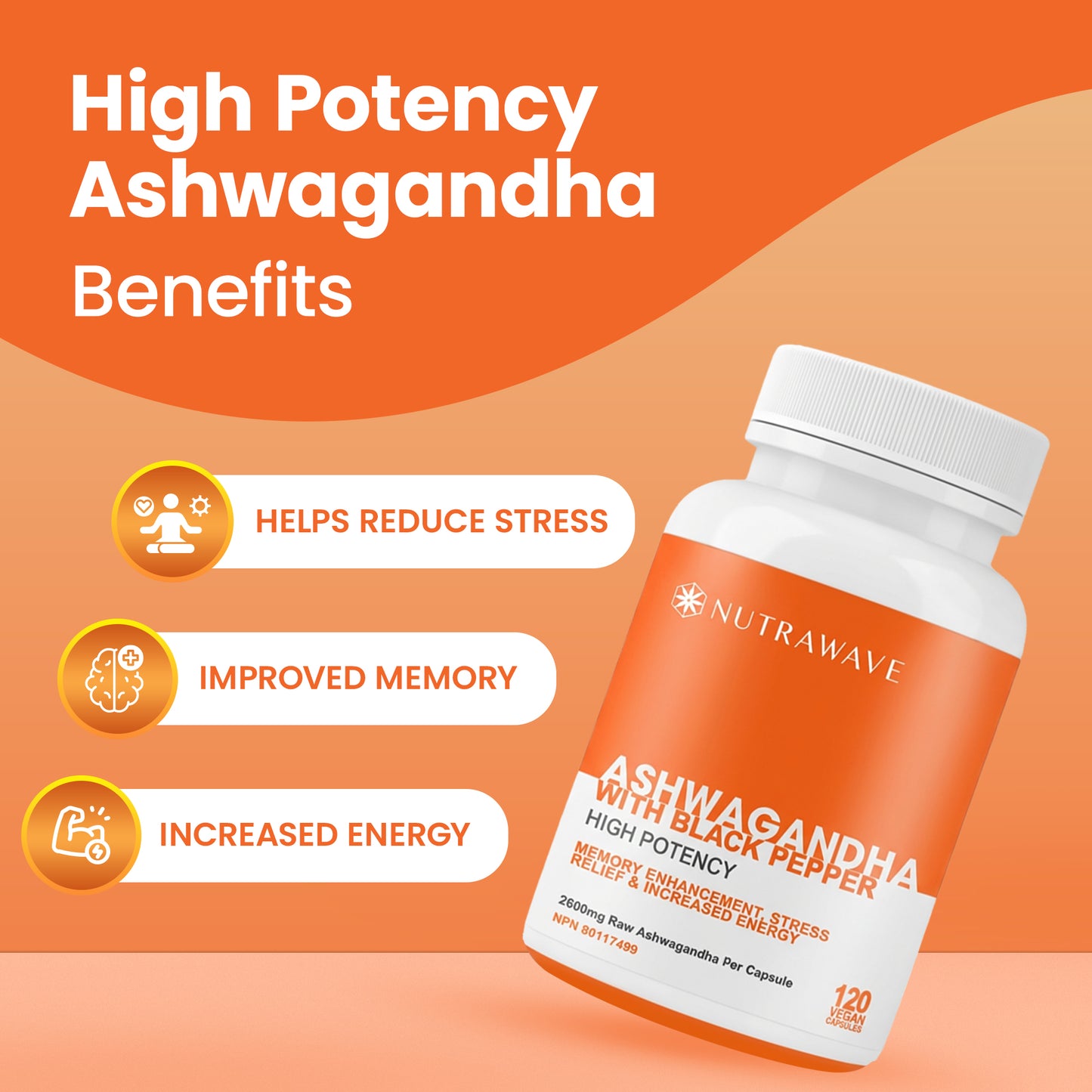 
                  
                    Ashwagandha Powder with Black Pepper Extract Capsules - 2600mg
                  
                
