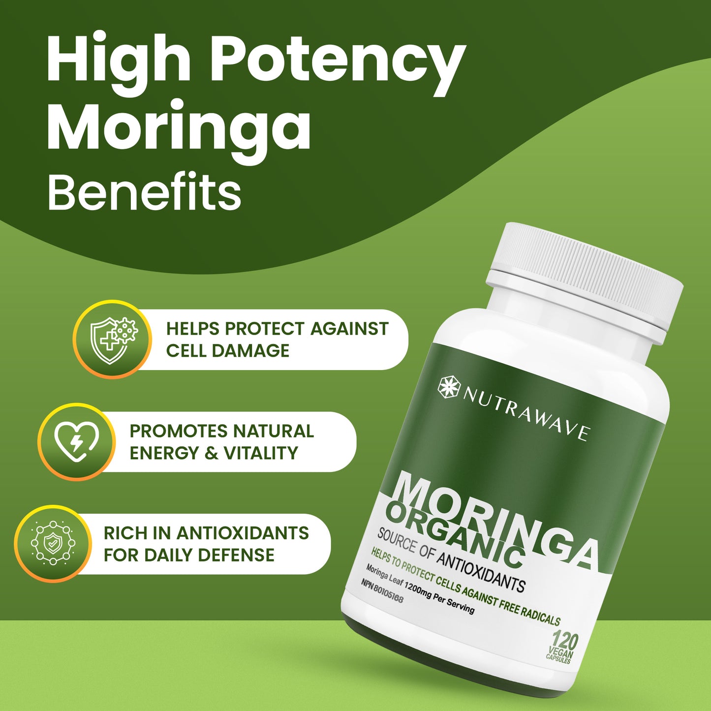 
                  
                    Organic Moringa Leaf Capsules - 1200mg
                  
                