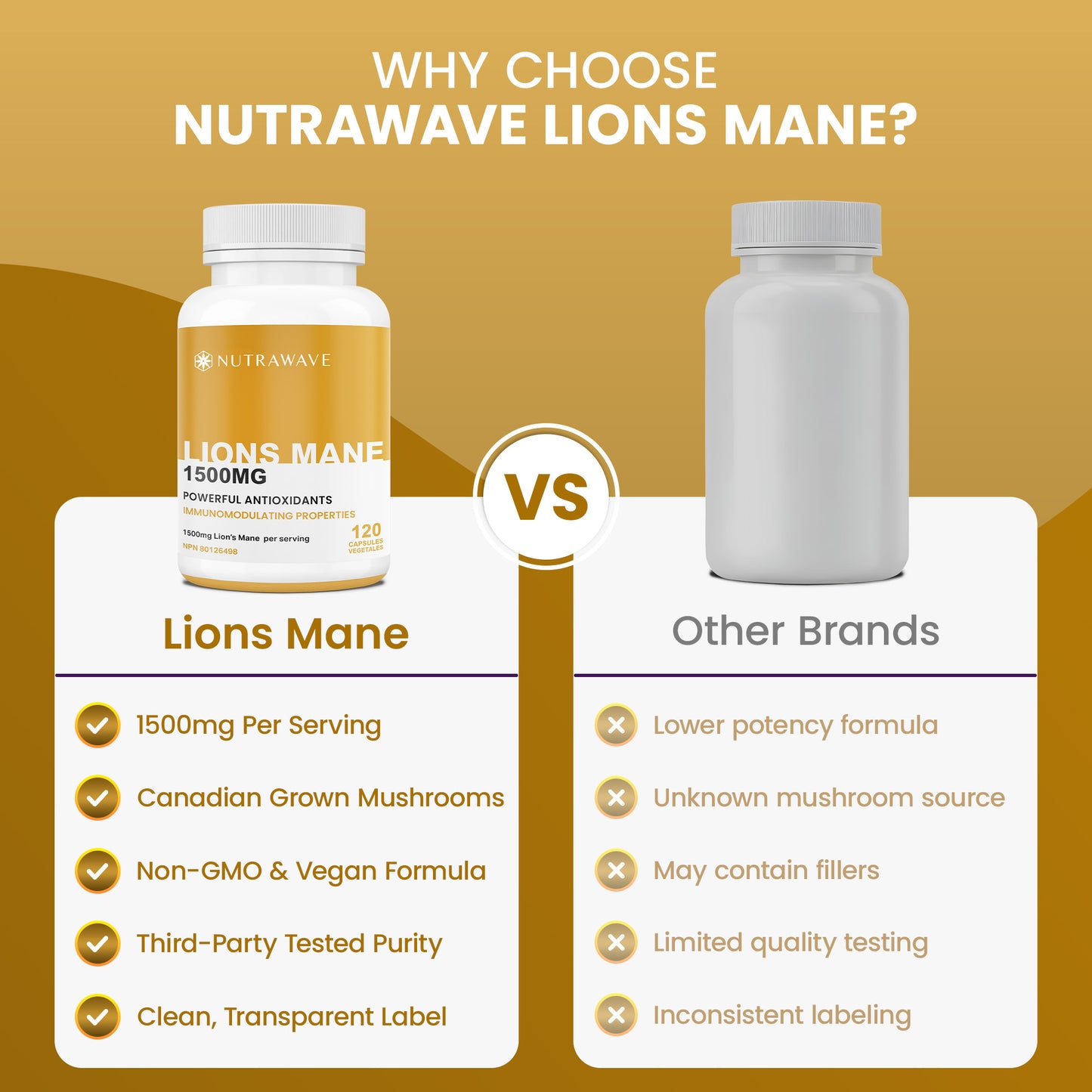 
                  
                    Lions Mane Extract Capsules – 1500mg
                  
                