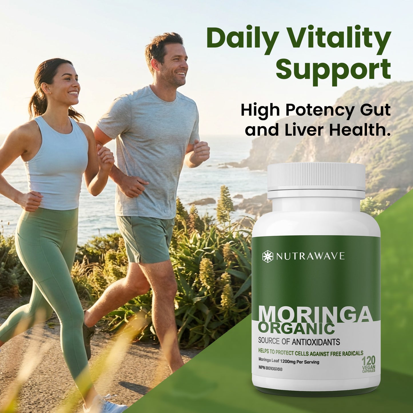 
                  
                    Organic Moringa Leaf Capsules - 1200mg
                  
                