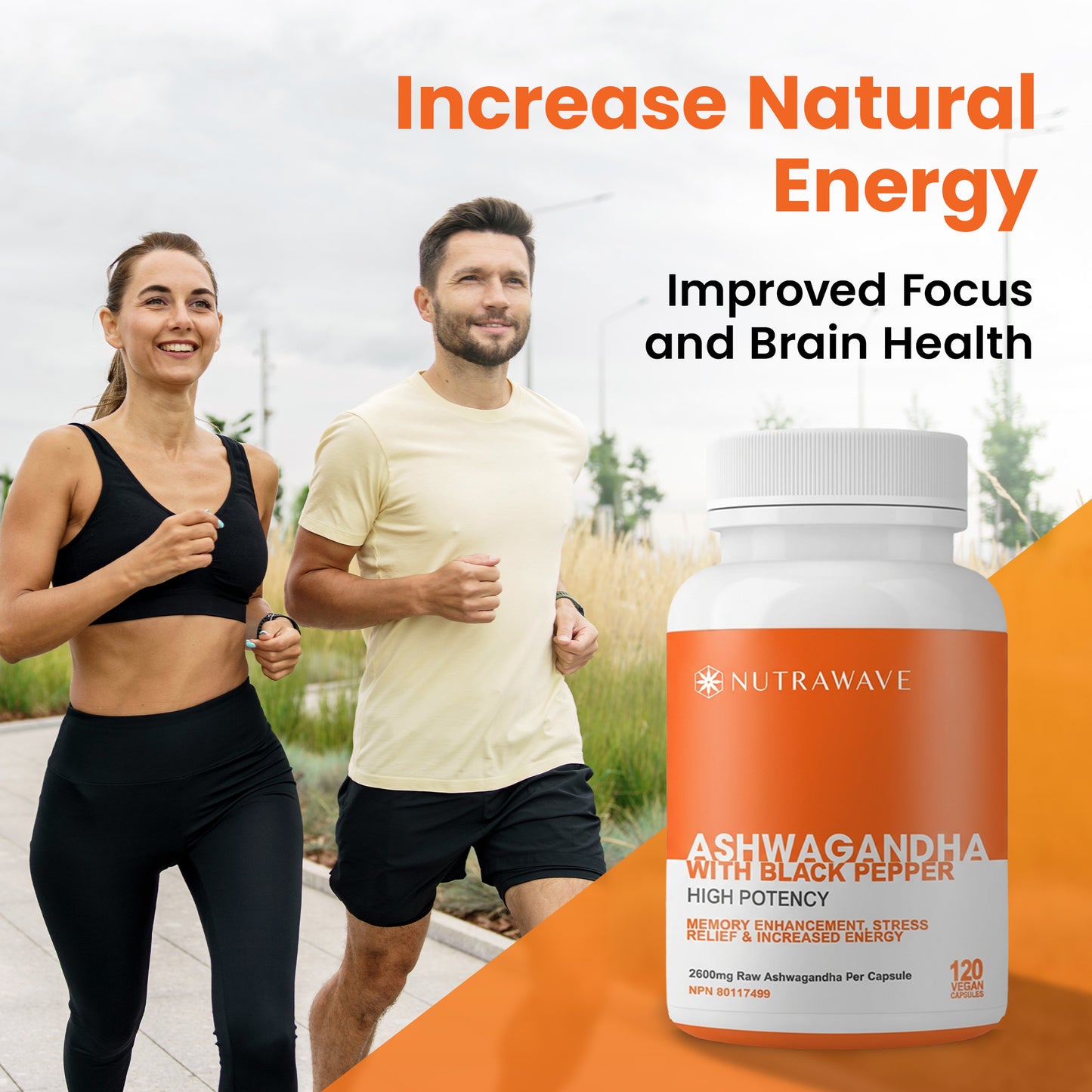 
                  
                    Ashwagandha Powder with Black Pepper Extract Capsules - 2600mg
                  
                