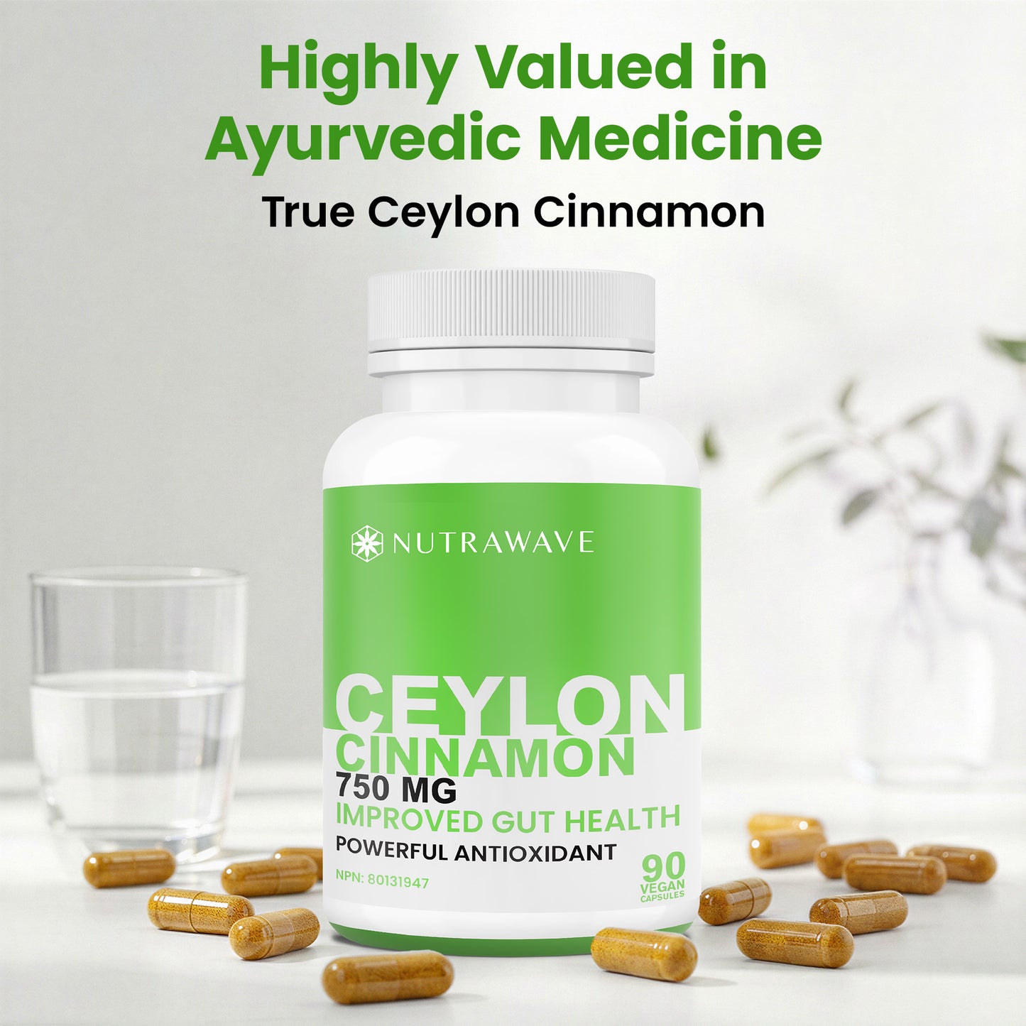 
                  
                    Ceylon Cinnamon Capsules - 750mg
                  
                