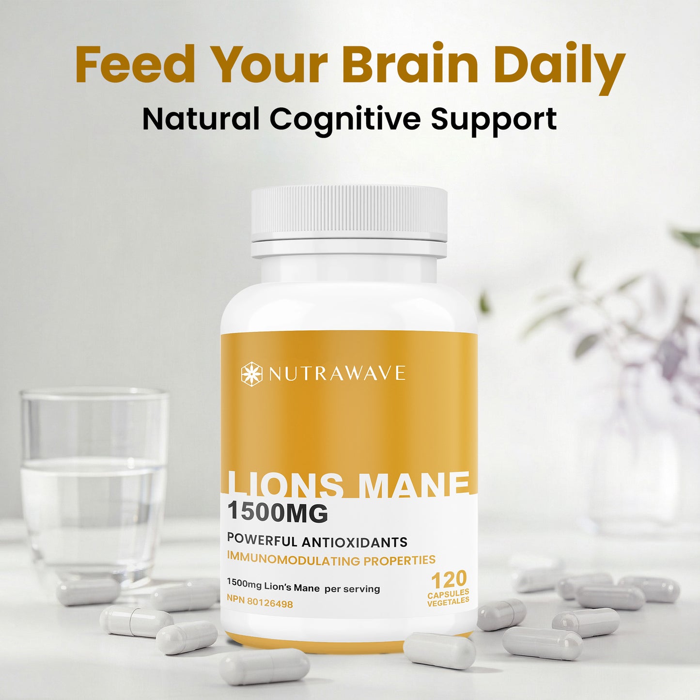 
                  
                    Lions Mane Extract Capsules – 1500mg
                  
                