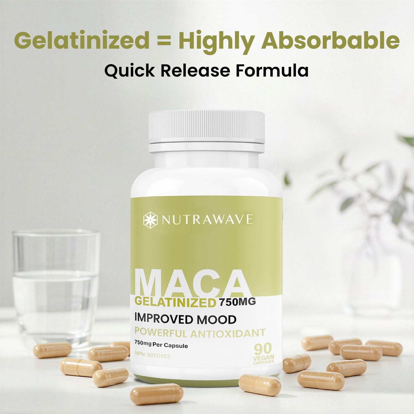 
                  
                    Gelatinized Maca Capsules - 750mg
                  
                