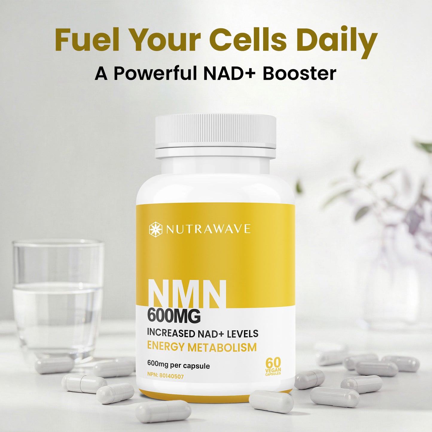 
                  
                    NMN Capsules - 600mg
                  
                