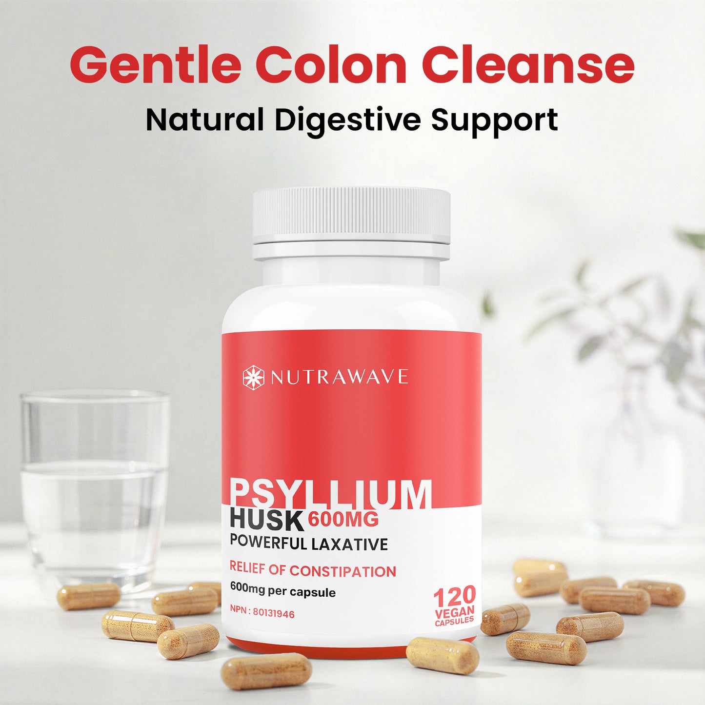 
                  
                    Psyllium Husk Fiber Capsules - 600mg
                  
                