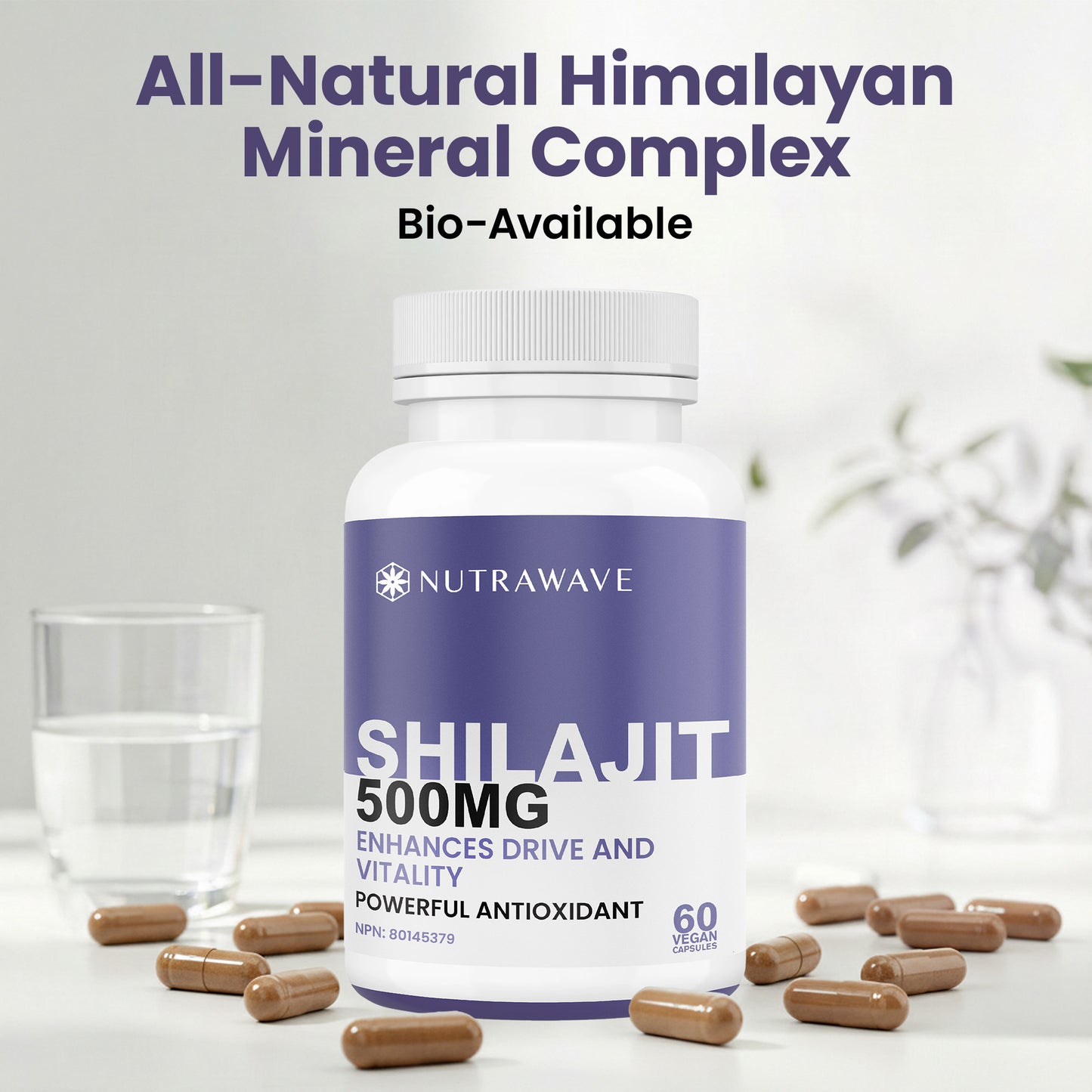 
                  
                    Shilajit Capsules - 500mg
                  
                