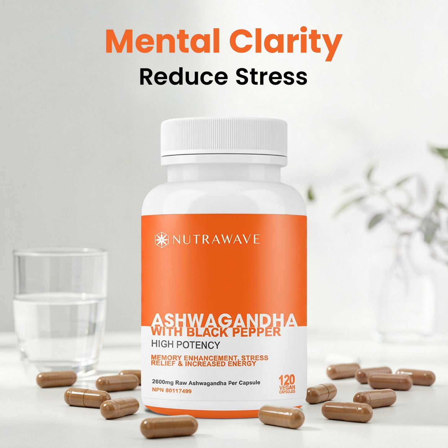 
                  
                    Ashwagandha Powder with Black Pepper Extract Capsules - 2600mg
                  
                