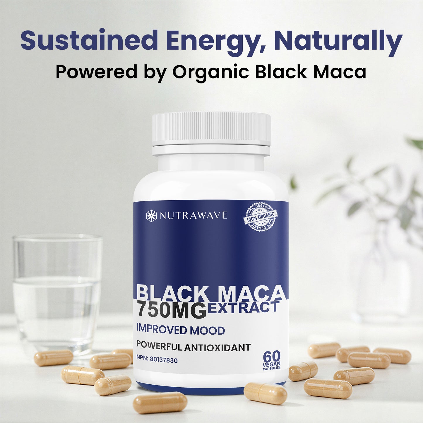 
                  
                    Black Maca Capsules - 750mg
                  
                