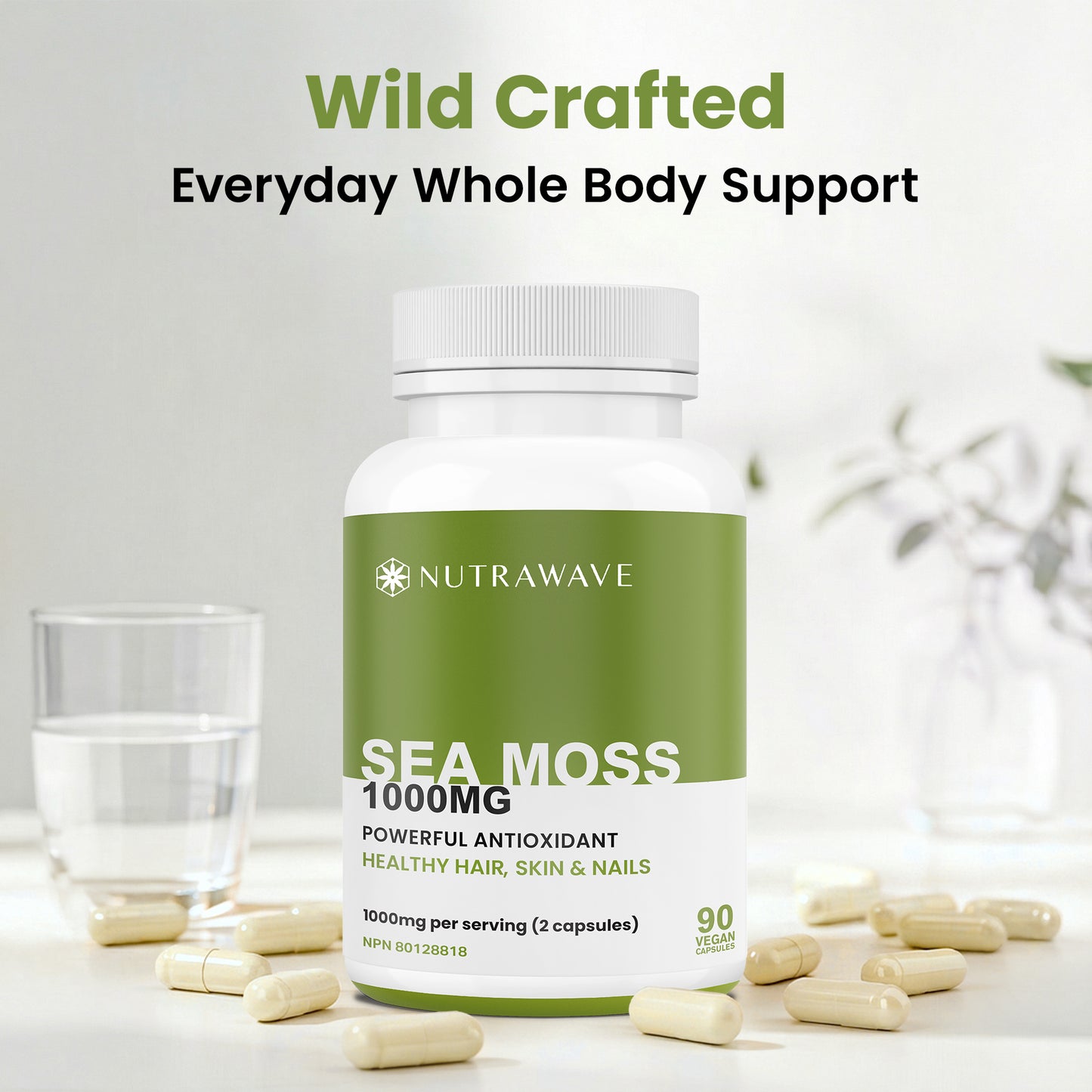 
                  
                    Irisches Meeresmoos Kapseln - 1000mg
                  
                