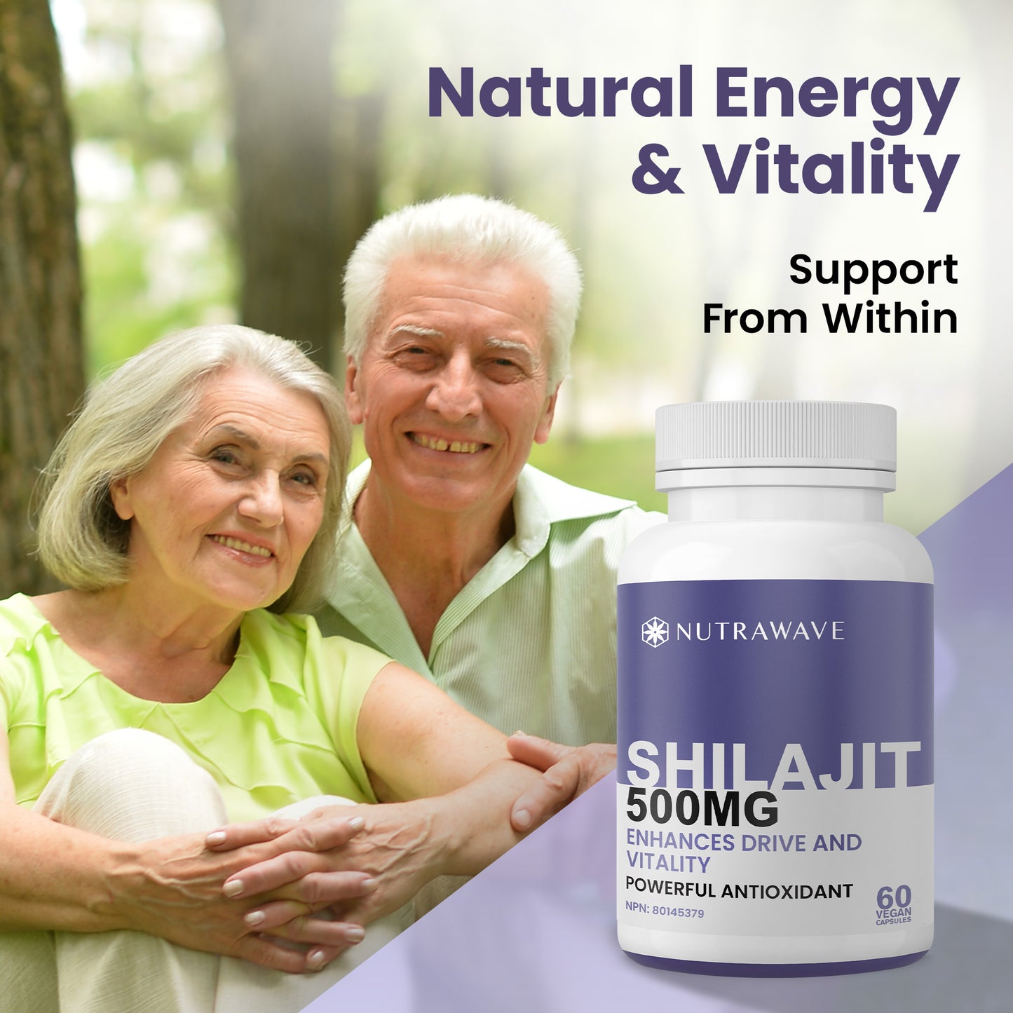 
                  
                    Shilajit Capsules - 500mg
                  
                