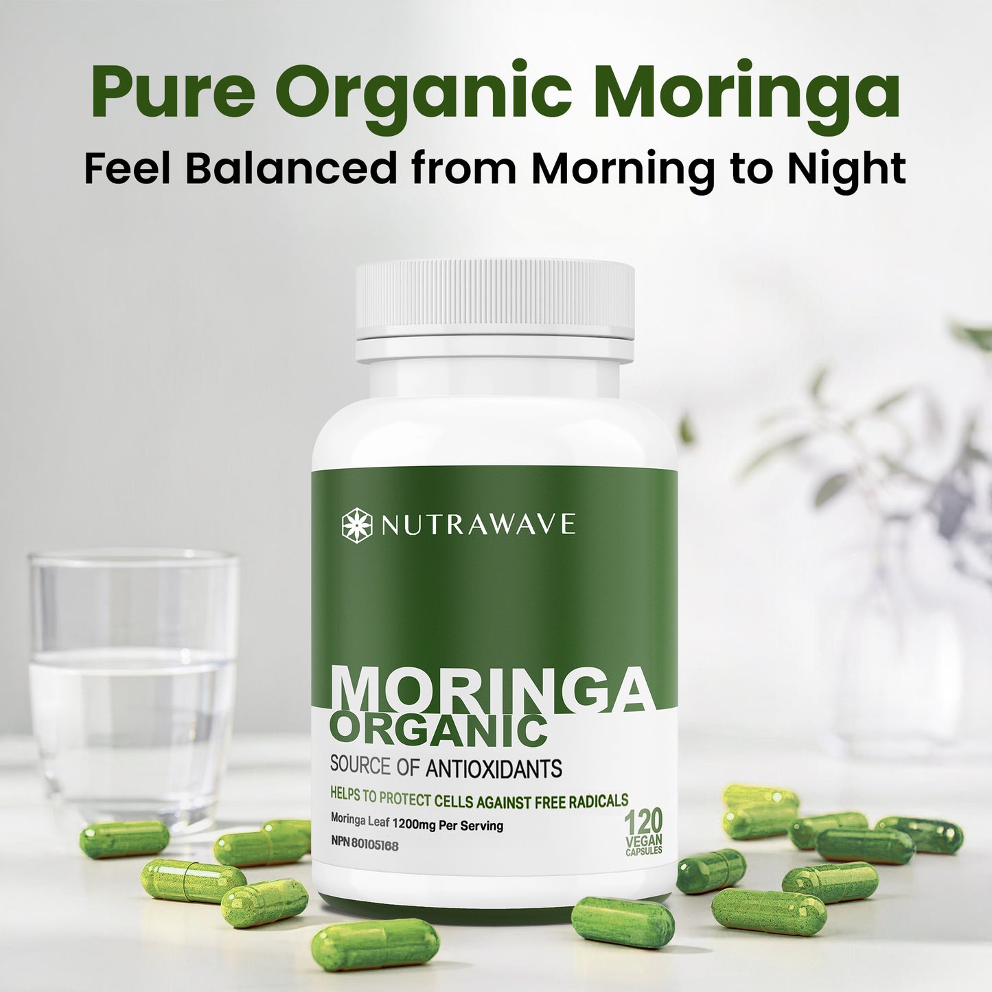 
                  
                    Organic Moringa Leaf Capsules - 1200mg
                  
                