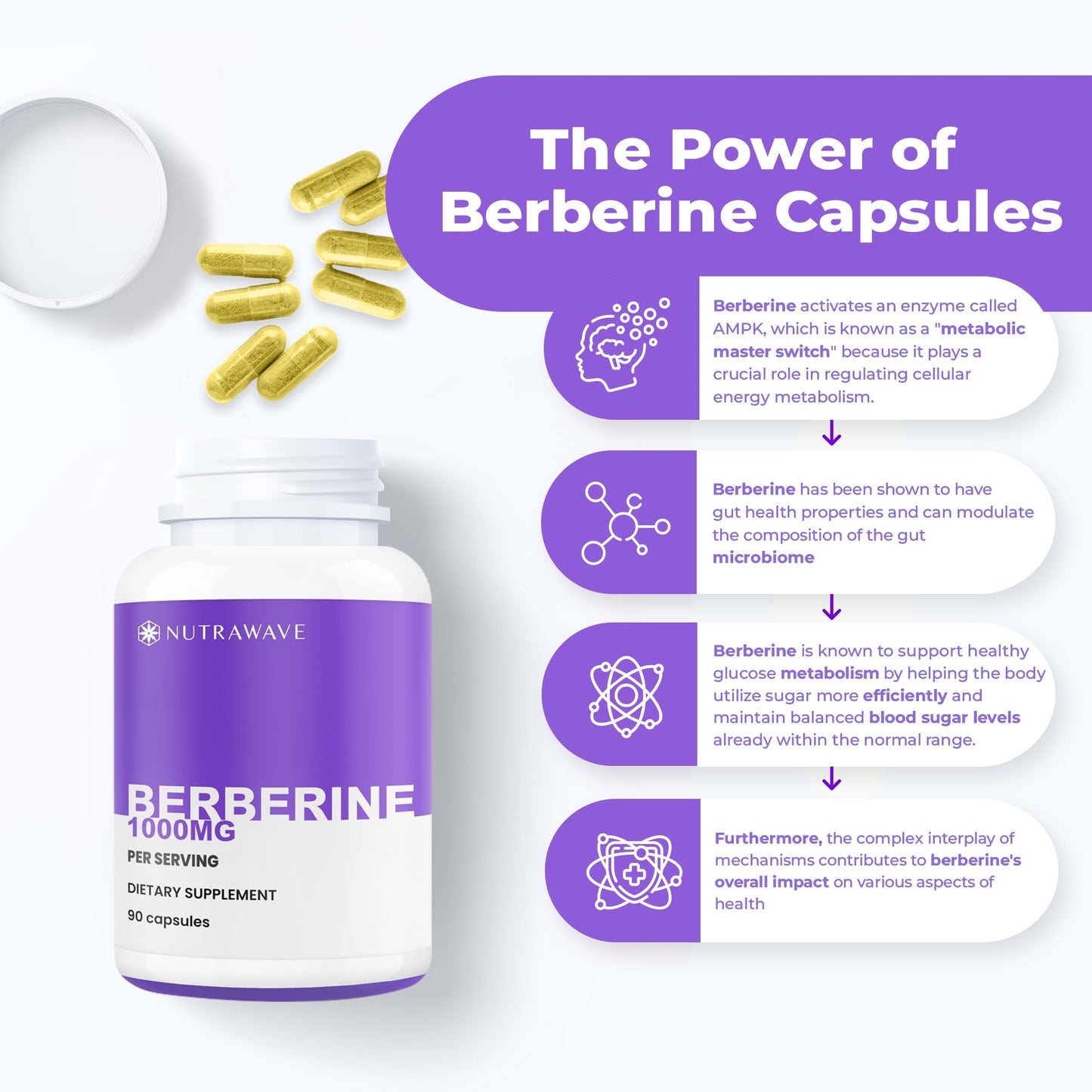 
                  
                    Berberine Capsules - 1000mg (per serving)
                  
                